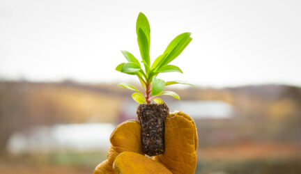 Jak správně zaúčtovat a zdanit přijaté dary u neziskové organizace? 